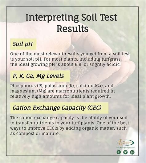 soil health test results explained